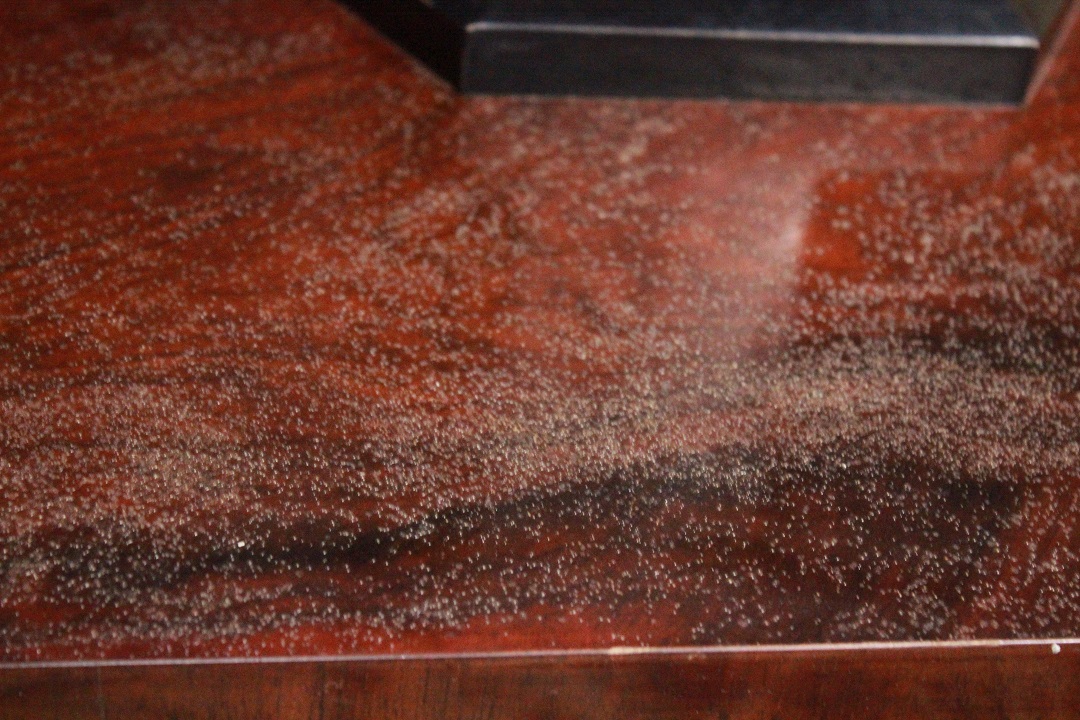 117_tavolo_tavolino_table_a_vela_legno_mogano_1800_XIX_secolo_wood_Brescia_Roncadelle_8