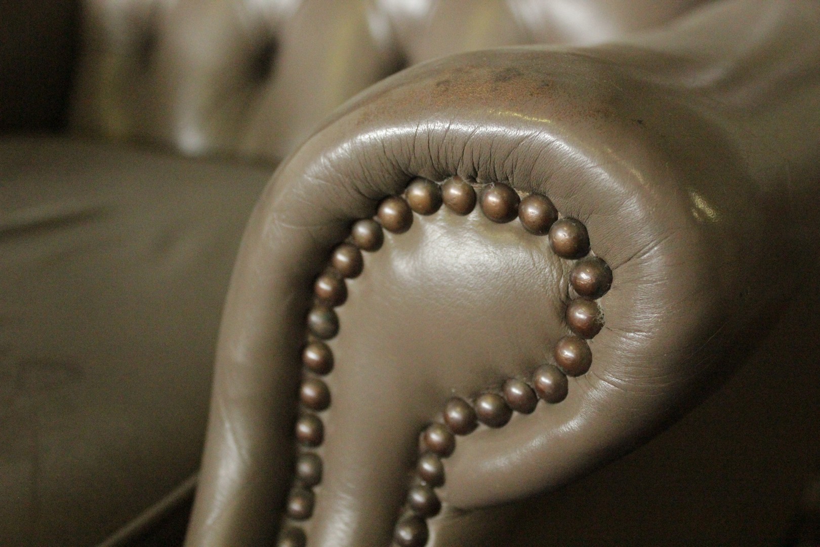 778_poltrona_armchair_chester_chesterfield_bergere_queen_anne_grigia_grey_tortora_dove_9.jpg