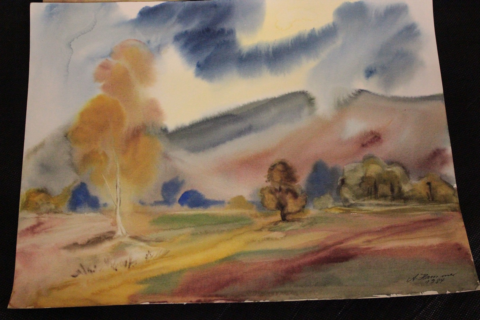 241_lotto_4_four_quattro_acquerelli_watercolor_2.jpg