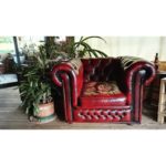 poltrona_armchair_club_chester_chesterfield_bordeaux.jpg