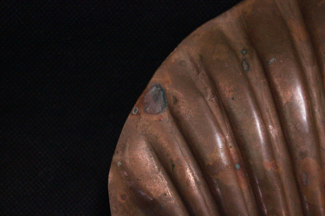 784_conchiglia_lega_rame_rossa_portagioie_shell_cuprum_3