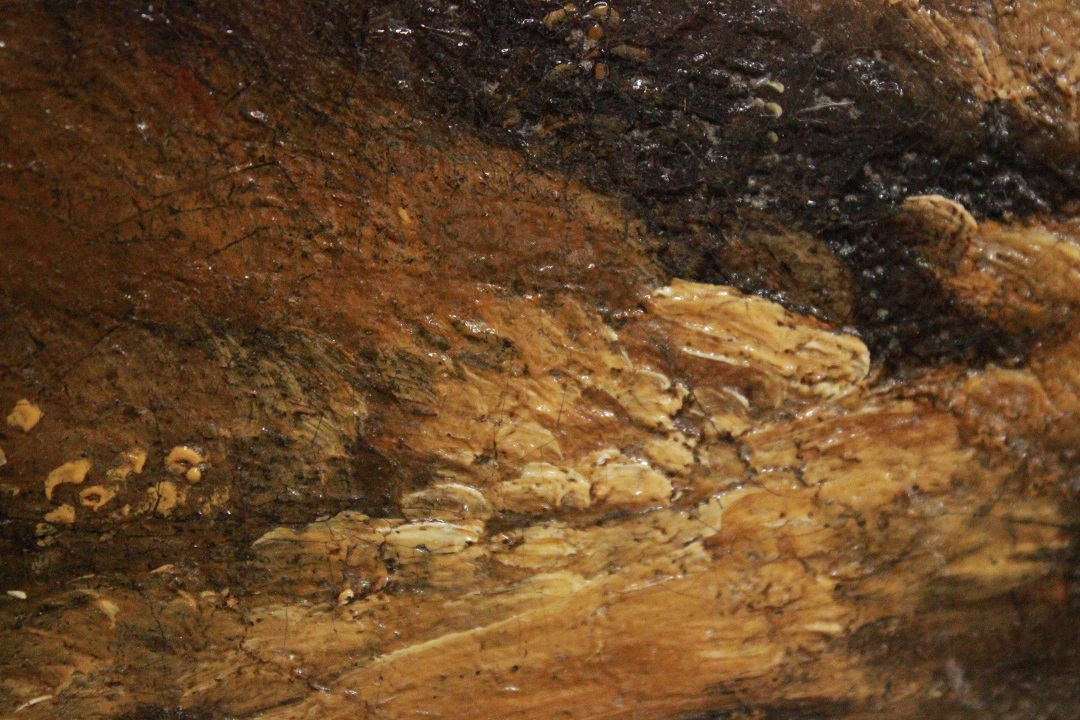 567_Jan_Frans_Van_Bolemen_quadro_paint_cornice_frame_painting_olio_su_tela_Orizzonte_grandi_dimensioni_natura_albero_acqua_6