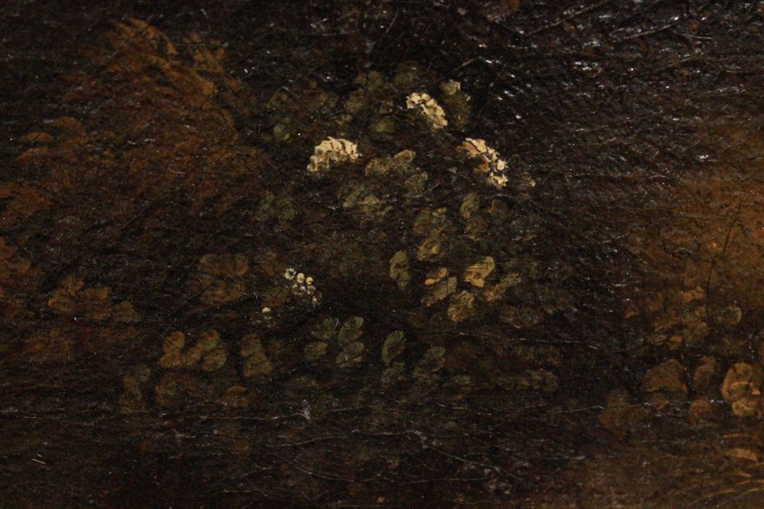 567_Jan_Frans_Van_Bolemen_quadro_paint_cornice_frame_painting_olio_su_tela_Orizzonte_grandi_dimensioni_natura_albero_acqua_7