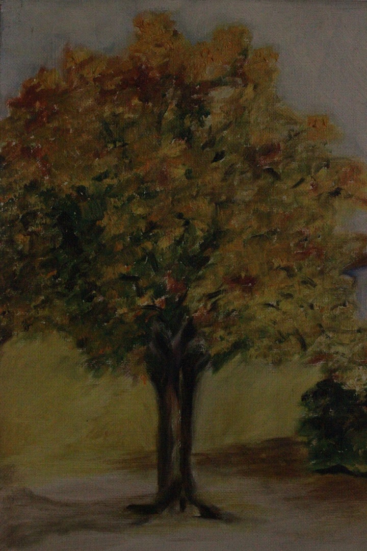 1040_olio_su_tela_paesaggio_città_chiesa_firma_firmato_seconda_metà_Novecento_francese_Francia_FRA_5